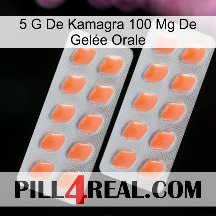 5 G De Kamagra 100 Mg De Gelée Orale 27